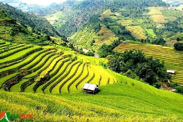 Circuit Vietnam  -Mucangchai.webp